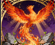 为什么要经历黑夜